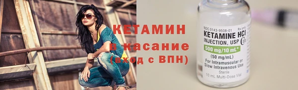 шишки Гусев